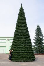 Ель уличная "Испанская" высота 7 м